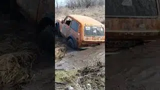 Старательница поплыла   