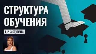 Структура обучения в школе прогнозов Альфа
