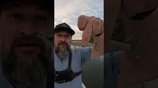 Amazon Glide Bait! Is it any good??? 