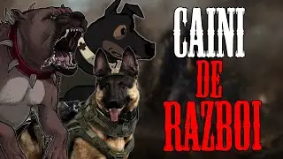 Istoria CAINILOR in RAZBOAIE