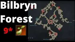 Lost Ark | Bilbryn Forest - Mococo Seeds Location