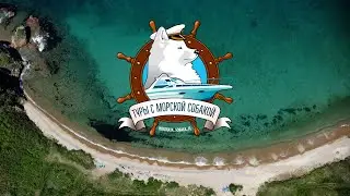 Морская собака, остров Путятина
