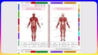 OCR GCSE PE Interactive Revision Notebook
