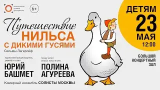 Приглашение Полины Агуреевой на концерт 