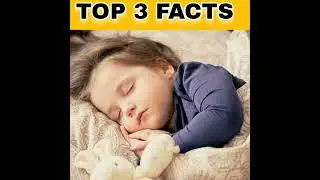 Fact About Human| Fact | Top Facts| Trending Fact | Top 3 Facts | Dreem Facts | Brain Facts | Kidney