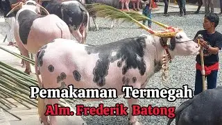 Ma'  Pasa Tedong Di Acara Rambu Solo' Alm. Ir. Frederik Batong Di Toraja Utara