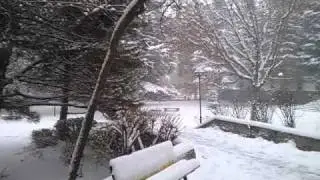 Spring snow in Metu, Ankara. March 7, 2011, EE.Eng
