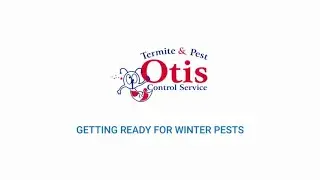 Getting Ready For Winter Pests