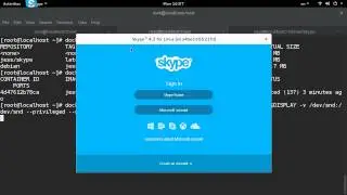 How to run Skype in Docker Containter