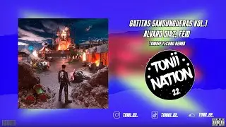 Alvaro Diaz, Feid - GATITAS SANDUNGUERAS VOL.1 | Techno Remix PROD TONIISP