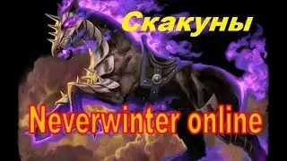 Neverwinter online. Мини гайд по скакунам.