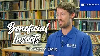 Extension Calendar -  Adam Dale  - Beneficial Insects