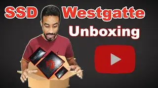 SSD Westgatte Unboxing e Primeiras Impressões (SATA, M2 NVMe e M2 SATA)