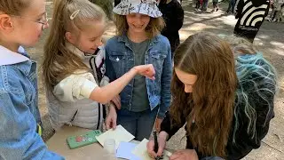 ZEчипсы | фортуна |