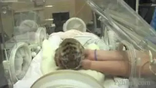 Baby tiger raised by humans