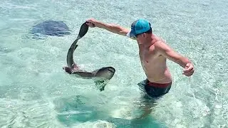 Out of Control Sharks on a Remote tropical Island and all the Seafood we could Catch Clean and Cook
