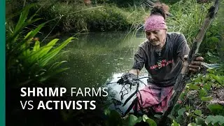 Java activists risk jail for exposing shrimp farm pollution crisis