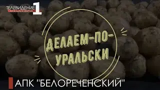 АПК «Белореченский» -  ведущее сельскохозяйственное предприятие Свердловской области