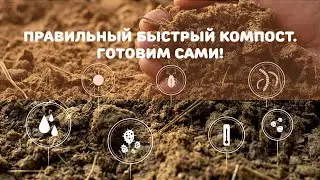 ПРАВИЛЬНЫЙ БЫСТРЫЙ КОМСПОТ! Готовим сами!