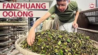 Taiwan's Forgotten Cultivars: Fanzhuang Tea Production with Simon