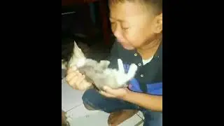 VIRAL..anak kecil nangis kucingnya di buat mama aku