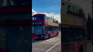 London Vibes