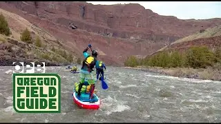 Paddleboarding the John Day River | Oregon Field Guide