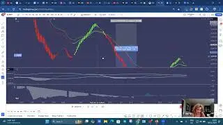 Trading Strategy Must Be Illegal To Be This Good!