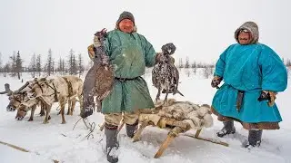 How Indigenous Peoples hunt.Guns and traps.Secrets of hunting deer, geese, ducks, Arctic foxes|Facts
