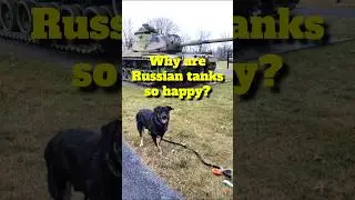 This is why Russian tanks are so happy?? Joke Time With Boomer The Dog 632 SHORT 