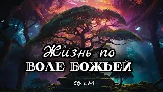 Жизнь по воле Божьей | Андрей Хорин (12.05.24)
