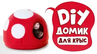 DIY: Soft Fly Agaric House for Rodents