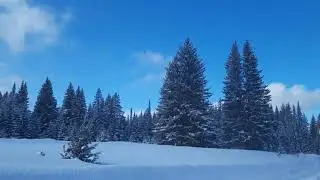 С новым годом друзья!