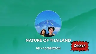 09-16/08/2024  Nature of Thailand Digest