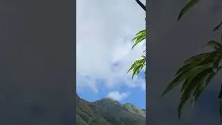 #summertime  #summervibes  #shortvideo  #viralshorts