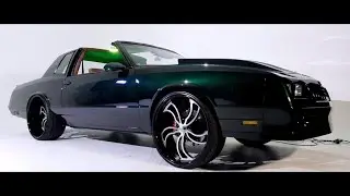 STORM GREEN - SLIDE IN ANY CLIMATE