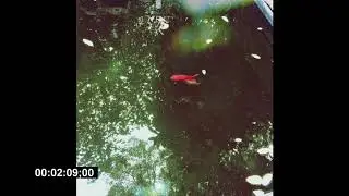 [FREE] Frank Ocean Type Beat 2017 - 