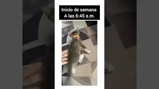 Martes por que el lunes se me hizo muy pesado Eso de regresar a la rutina esta segunda semana