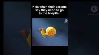 goofy ahh crying duck