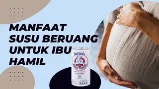 Manfaat Minum Susu Beruang Bagi Ibu Hamil