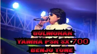 गुलमोहर // nitin dubey cg song // yanha psr sx700 benjo tone