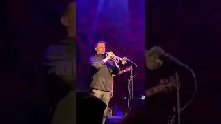 Alfa Mist - Keep On Live and Extended @Gloria Theater Cologne 02/2020