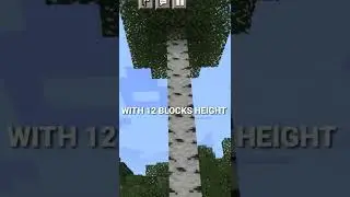 BIGGEST BIRCH TREE IN MINECRAFT|#shorts #minecraftshorts