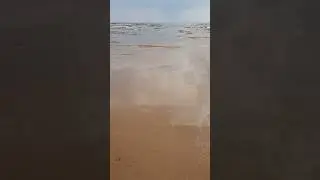 Наше море 🌊