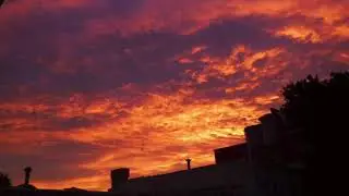 Rosebuds // lofi hip hop