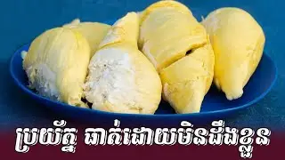 ៥ វិធី ញ៉ាំទុរេនកុំឱ្យធាត់ | 5 ways to eat durian safely without harming your health
