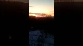 25 марта 2023 г.