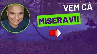 Que animal exótico é esse?