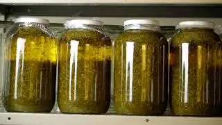 St. John's Wort Oil