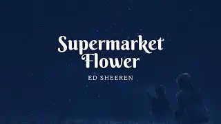 Ed Sheeran - Supermarket Flowers (lyrics)